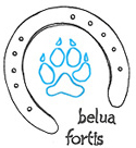 belua fortis Physiotherapie für Tiere